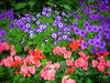 DSCN4119.JPG