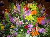 DSCN4122.JPG
