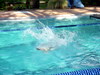 DSCN4825.JPG