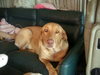 DSCN4861.JPG