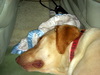 DSCN4929.JPG