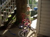 DSCN4941.JPG