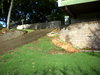 DSCN4946.JPG