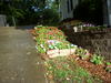 DSCN4948.JPG