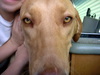DSCN0125.JPG