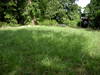 DSCN0137.JPG