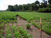 DSCN0139.JPG