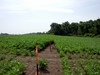 DSCN0140.JPG