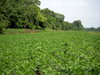DSCN0141.JPG