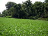 DSCN0142.JPG