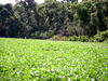 DSCN0143.JPG