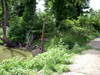 DSCN0144.JPG