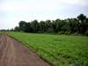 DSCN0145.JPG