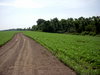 DSCN0146.JPG