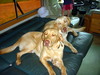 DSCN2478.JPG