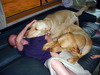 DSCN2479.JPG