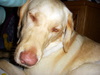 DSCN2491.JPG
