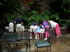 DSCN2649.JPG