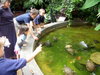 DSCN2661.JPG