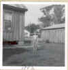sprinkleragain1962.jpg (73654 bytes)