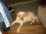 dscn7079.jpg