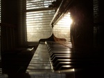 dscn7081.jpg