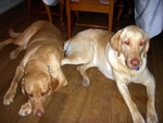 dscn7097.jpg