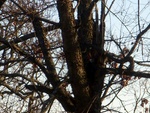 dscn7120.jpg