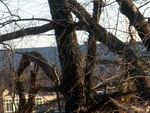dscn7121.jpg