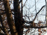 dscn7122.jpg