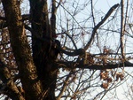 dscn7123.jpg
