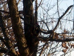 dscn7124.jpg