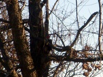 dscn7125.jpg