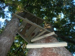 dscn3255.jpg