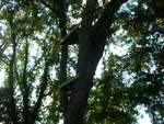 dscn3257.jpg