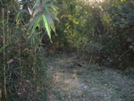 dscn3258.jpg