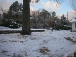 dscn3301.jpg