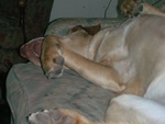 dscn3319.jpg