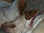 dscn3320.jpg
