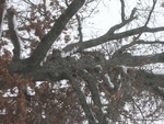 dscn3331.jpg