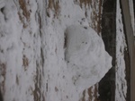 dscn3332.jpg