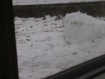 dscn3333.jpg