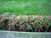 DSCN5425.JPG