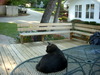 DSCN5430.JPG
