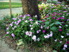DSCN5442.JPG