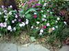 DSCN5443.JPG
