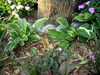 DSCN5444.JPG
