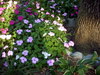 DSCN5445.JPG