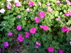 DSCN5446.JPG