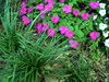DSCN5449.JPG